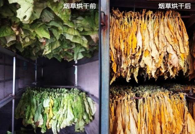 卡林空氣源熱泵烘干機效果 卡林空氣源熱泵烘干機效果